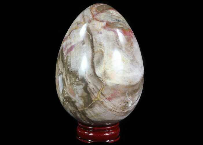 Colorful, Polished Petrified Wood Egg #51664